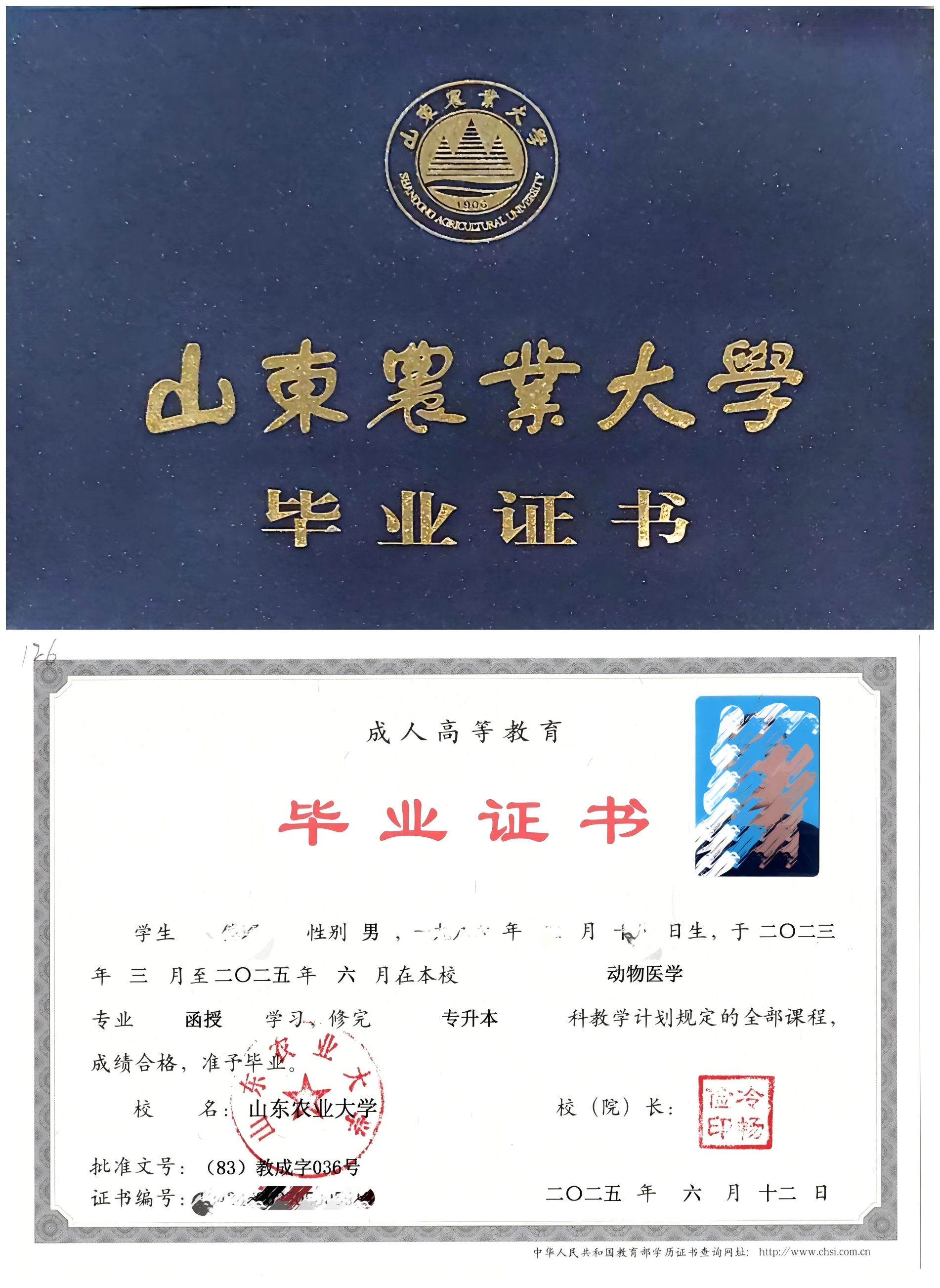 山东农业大学申请学位条件(图1)